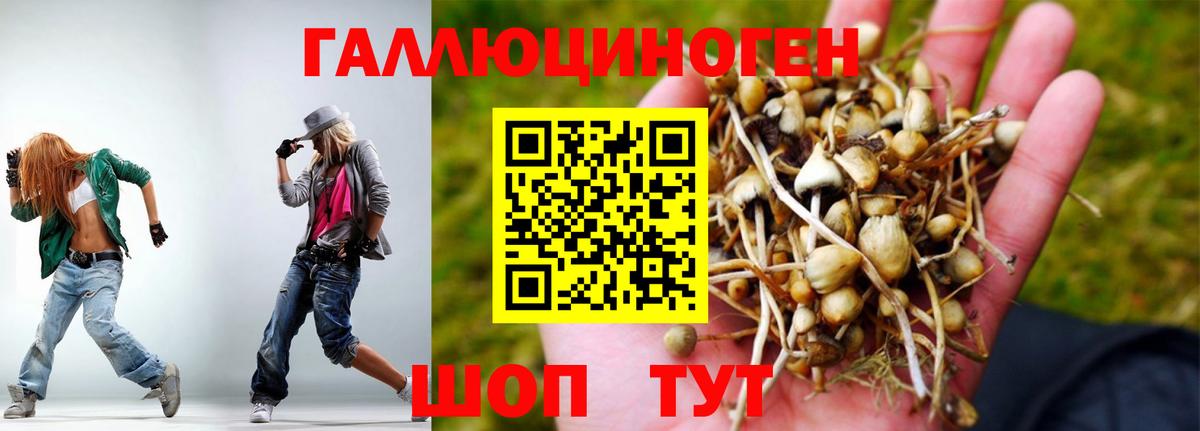 Галлюциногенные грибы мухоморы Богородицк